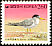 Little Tern Sternula albifrons  1997 Definitives 