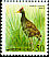 Watercock Gallicrex cinerea  1998 Definitives 