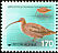 Far Eastern Curlew Numenius madagascariensis  1998 Definitives 