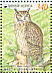 Eurasian Eagle-Owl Bubo bubo