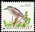 Black-crowned Night Heron Nycticorax nycticorax  2000 Definitives 