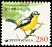 Yellow-rumped Flycatcher Ficedula zanthopygia  2002 Definitives 