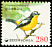 Yellow-rumped Flycatcher Ficedula zanthopygia