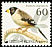 Chinese Grosbeak Eophona migratoria