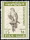 Saker Falcon Falco cherrug  1965 Definitives 