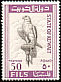 Saker Falcon Falco cherrug  1965 Definitives 