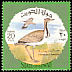 Macqueen's Bustard Chlamydotis macqueenii