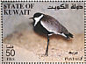 Spur-winged Lapwing Vanellus spinosus