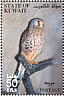 Common Kestrel Falco tinnunculus