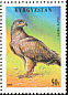 Tawny Eagle Aquila rapax  1995 Birds 