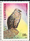 Bearded Vulture Gypaetus barbatus  1995 Birds 