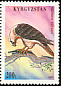 Bearded Vulture Gypaetus barbatus  1995 Birds 