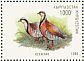 Chukar Partridge Alectoris chukar