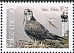 Saker Falcon Falco cherrug  2009 WWF 