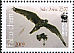 Saker Falcon Falco cherrug  2009 WWF 