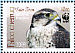 Saker Falcon Falco cherrug  2009 WWF Sheet with 4 sets