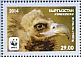 Cinereous Vulture Aegypius monachus  2014 WWF 