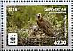 Cinereous Vulture Aegypius monachus  2014 WWF 