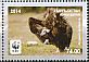 Cinereous Vulture Aegypius monachus  2014 WWF 