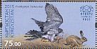 Peregrine Falcon Falco peregrinus  2015 Traditional hunting Sheet