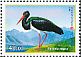 Black Stork Ciconia nigra