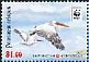 Dalmatian Pelican Pelecanus crispus  2017 WWF 