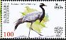 Demoiselle Crane Grus virgo