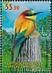 European Bee-eater Merops apiaster  2021 Bee-eater 