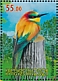 European Bee-eater Merops apiaster  2021 Bee-eater Sheet