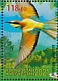 European Bee-eater Merops apiaster