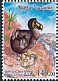 Dodo Raphus cucullatus †
