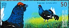 Kyrgyzstan 2025 Birds in the Red Data Book Sheet