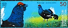 Black Grouse Lyrurus tetrix