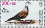 European Turtle Dove Streptopelia turtur