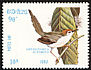 Common Tailorbird Orthotomus sutorius  1982 Birds 
