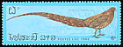 Copper Pheasant Syrmaticus soemmerringii  1986 Pheasants 