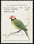 Blossom-headed Parakeet Psittacula roseata  1988 Birds 