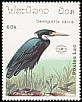 Western Reef Heron Egretta gularis