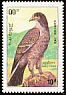 Greater Spotted Eagle Clanga clanga  1993 Birds of prey 