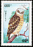 Spotted Owlet Athene brama  1993 Birds of prey 