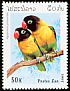 Yellow-collared Lovebird Agapornis personatus