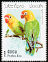 Fischer's Lovebird Agapornis fischeri  1997 Parrots 