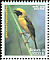 Asian Golden Weaver Ploceus hypoxanthus