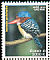 Banded Kingfisher Lacedo pulchella