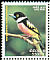 Black-and-yellow Broadbill Eurylaimus ochromalus  2004 Birds 