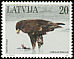 Greater Spotted Eagle Clanga clanga