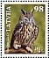 Eurasian Eagle-Owl Bubo bubo  2010 Birds 