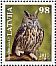 Eurasian Eagle-Owl Bubo bubo