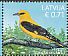 Eurasian Golden Oriole Oriolus oriolus