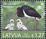 Black Stork Ciconia nigra  2021 Europa 2v set